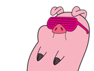 https://image.noelshack.com/fichiers/2019/25/2/1560883462-waddles-lunettes-2.jpg