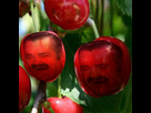 https://image.noelshack.com/fichiers/2019/25/3/1560942165-cerisitas.png