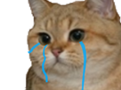https://image.noelshack.com/fichiers/2019/25/4/1561017781-62489-full.png