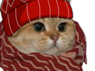 https://image.noelshack.com/fichiers/2019/25/4/1561019564-63616-full.png