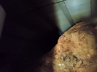 https://image.noelshack.com/minis/2019/25/4/1561034333-cave-app.png