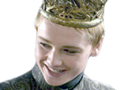 https://image.noelshack.com/fichiers/2019/25/5/1561131072-tommen.png