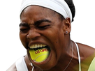 https://image.noelshack.com/fichiers/2019/25/5/1561136905-serena-williams-eating-balls-cropped-removebg-preview.png