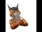 https://image.noelshack.com/fichiers/2019/25/5/1561147122-a52f5a10.jpg