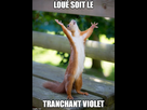 https://image.noelshack.com/fichiers/2019/25/5/1561152163-enfinletranchantviolet.jpg