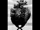 https://image.noelshack.com/fichiers/2019/26/2/1561424647-e83-ioe-core-manga.png