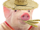 https://image.noelshack.com/fichiers/2019/26/3/1561502861-f2422cd5-4488-4450-bf9a-40f0bf1a7328.jpeg
