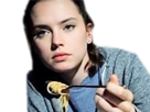 https://image.noelshack.com/fichiers/2019/26/3/1561514933-daisy-mange.jpg