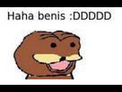 https://image.noelshack.com/fichiers/2019/26/3/1561575294-haha-benis-ddddd-985930.png