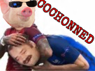 https://image.noelshack.com/fichiers/2019/26/4/1561589945-ba2bfe08-33bc-420a-af61-b0fec75e66ed.jpeg