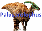 https://image.noelshack.com/fichiers/2019/26/4/1561621072-palusorolophus.png