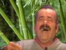 https://image.noelshack.com/minis/2019/27/2/1562072309-bambou8.png