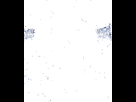 https://image.noelshack.com/fichiers/2019/27/4/1562241860-b22f22cac28b231b1495907dd1fd3f7a5a4ced9d-00.gif