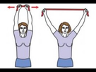 https://image.noelshack.com/fichiers/2019/27/5/1562308432-exercice-grand-dorsal-elastique.jpg