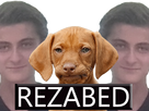 https://image.noelshack.com/minis/2019/27/5/1562350400-rezabed.png