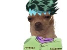 https://image.noelshack.com/fichiers/2019/28/2/1562688535-chien-rohan.jpg