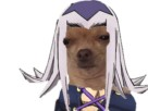 https://image.noelshack.com/fichiers/2019/28/2/1562693043-chien-abbacchio.jpg