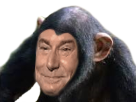 https://image.noelshack.com/fichiers/2019/28/4/1562854305-monkey.png