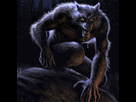 https://image.noelshack.com/fichiers/2019/28/7/1563062186-loup-garou.jpg