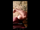 https://image.noelshack.com/fichiers/2019/28/7/1563113465-screenshot-20190714-160752.jpg