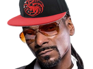 https://image.noelshack.com/fichiers/2019/28/7/1563129166-snoop-team-dany.png