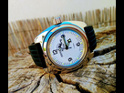 petite vostok amphibia 1563194665-amphibia