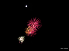 https://image.noelshack.com/fichiers/2019/29/1/1563224892-dsc-00n-30-2-3.jpg
