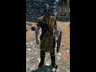 https://image.noelshack.com/fichiers/2019/29/3/1563394675-whiterun-hold-guard-skyrim.png