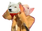 https://image.noelshack.com/fichiers/2019/29/4/1563431239-538ba4df-129a-4871-a975-1dabd15b54ee.jpeg