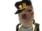 https://image.noelshack.com/fichiers/2019/29/4/1563452834-chien-jotaro.jpg