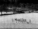 https://image.noelshack.com/fichiers/2019/29/7/1563745373-farming-during-apocalypse.jpg