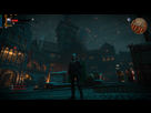https://image.noelshack.com/fichiers/2019/30/2/1563884495-the-witcher-3-23-07-19-14-11-43.png