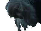 https://image.noelshack.com/minis/2019/30/2/1563894354-karstark01.png