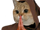 https://image.noelshack.com/fichiers/2019/30/3/1563992375-1529073490-chat-priere.png