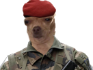 https://image.noelshack.com/fichiers/2019/30/3/1563993608-92553-full.png