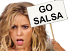 https://image.noelshack.com/fichiers/2019/30/4/1564060318-go-salsa.png