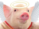 https://image.noelshack.com/fichiers/2019/30/5/1564099392-68dff884-563c-4a12-850d-4f257f674d38.jpeg