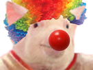 https://image.noelshack.com/fichiers/2019/30/5/1564099433-da6c74e5-5f94-4e7f-af04-b678201377b9.jpeg