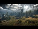 https://image.noelshack.com/fichiers/2019/30/5/1564168310-the-witcher-3-screenshot-2019-07-26-21-03-06-91.png