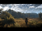 https://image.noelshack.com/fichiers/2019/30/5/1564168499-the-witcher-3-screenshot-2019-07-26-20-55-41-05.png