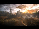https://image.noelshack.com/fichiers/2019/30/5/1564169111-the-witcher-3-screenshot-2019-07-24-01-14-45-93.png