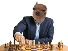 https://image.noelshack.com/fichiers/2019/30/6/1564260325-82266-full.png