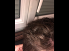 https://image.noelshack.com/fichiers/2019/30/7/1564312315-8dcd1d50-8af4-442d-9ca5-b78f071cf6b6.jpeg