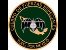https://www.noelshack.com/2019-31-5-1564763227-1920px-escudo-del-cuerpo-de-fuerzas-especiales-del-ejercito-mexicano-svg2.png