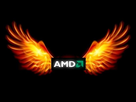 https://image.noelshack.com/fichiers/2019/31/5/1564766240-amd-phenix.jpg