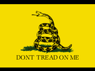 https://image.noelshack.com/fichiers/2019/31/5/1564780913-1920px-gadsden-flag-svg.png