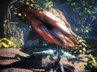 https://www.noelshack.com/2019-31-6-1564845920-deviljho.jpg