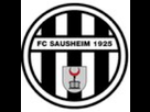 https://www.noelshack.com/2019-31-7-1564911098-logo-sausheim.png