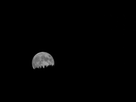 https://image.noelshack.com/fichiers/2019/32/4/1565222116-lever-de-lune-2.jpg