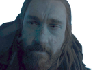 https://image.noelshack.com/fichiers/2019/32/4/1565252139-benjen-stark.png